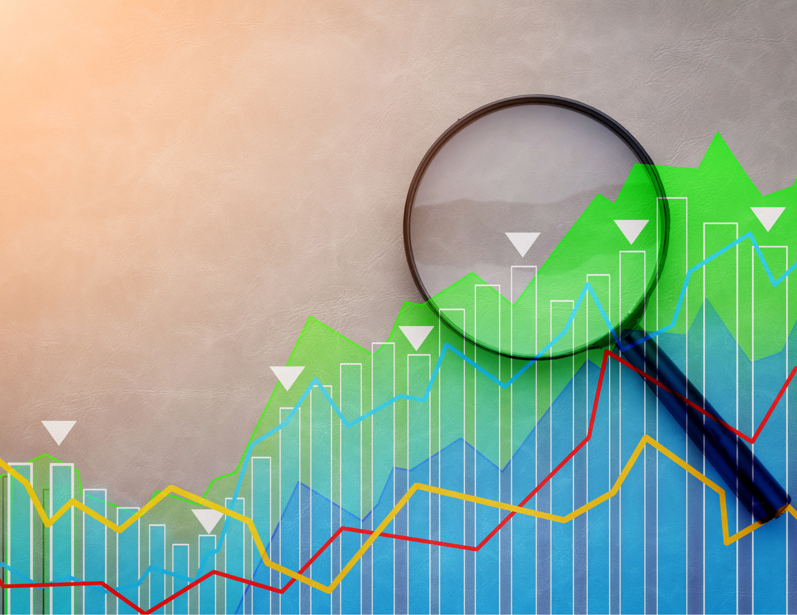 Interactive Dashboards & Export